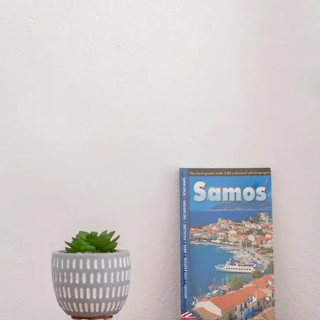 Billy'S House Apartment Samos Town Exterior photo